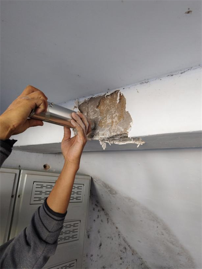 混凝土強度檢測標準