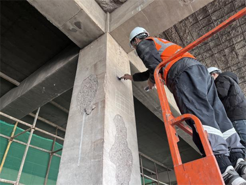 主體結(jié)構(gòu)檢測項(xiàng)目